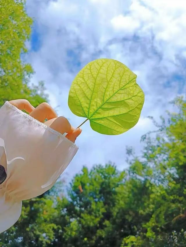 明明感受到他越来越爱你，却始终走不进对方心里，爱为何如此难懂