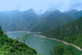 长江的“哭泣”！“水中老虎”在长江泛滥，十年禁渔却养虎为患？图片