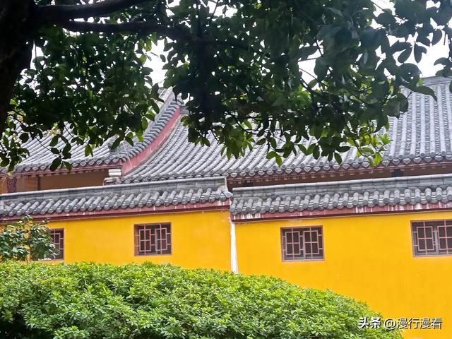 爬了趟蛇山，拍了组龙华寺的片子