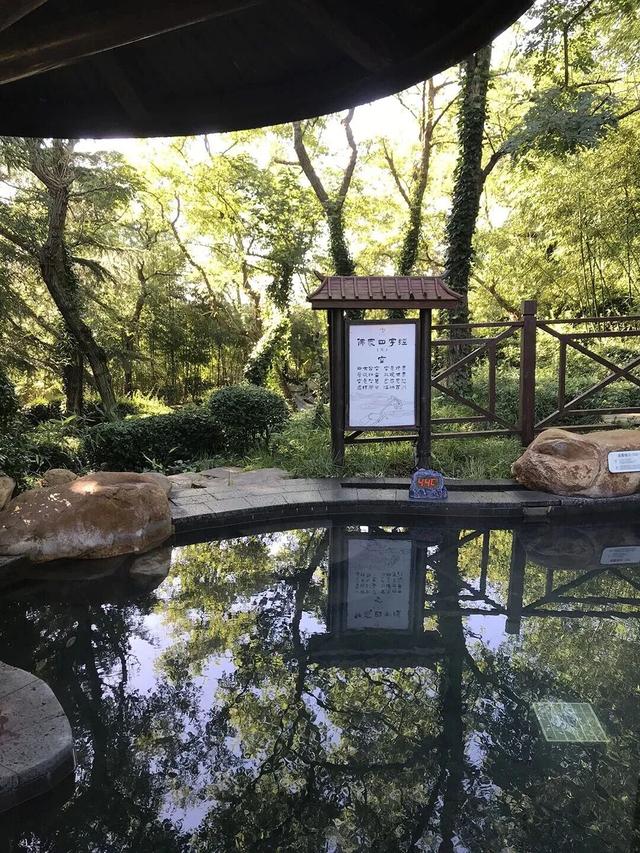 天冷了，到山东这里“泡”着