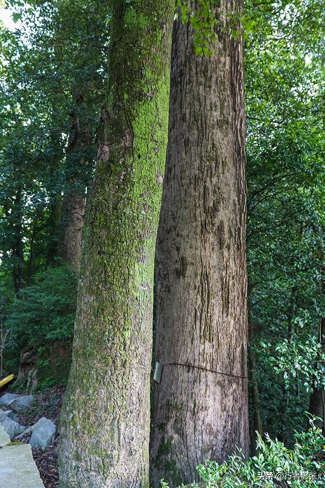 藏在福建山里的古村落，罗源千年古镇一条宝藏路线，七座传统古村