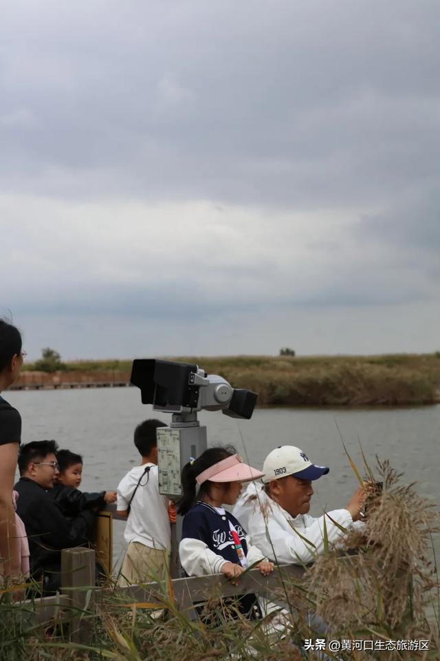 【情满双节游东营】黄河口生态旅游区 开启“人从众”模式 国庆精彩持续上演