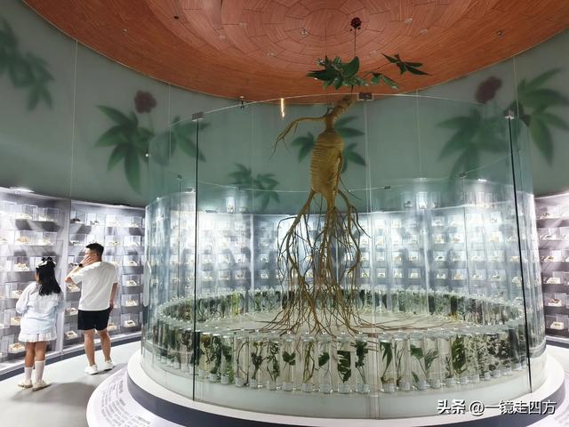 通化市自然博物馆