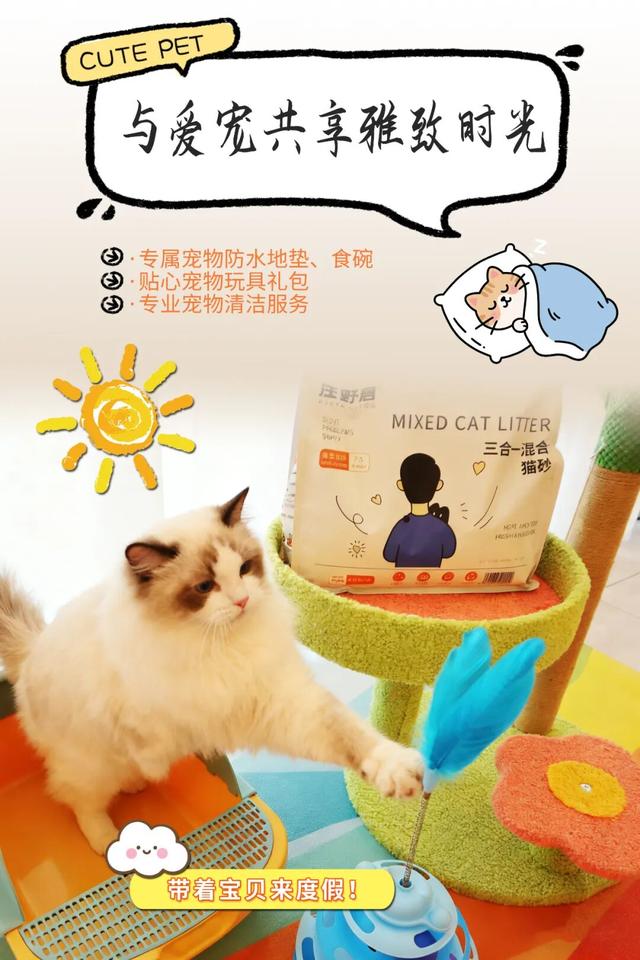 在韶关，带毛孩子去哪“浪”？这份宠物友好地图请收藏，撒欢不踩雷~