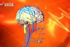 仅2小时，微塑料就可入侵大脑！ “元凶”不止有塑料袋、快餐盒图片