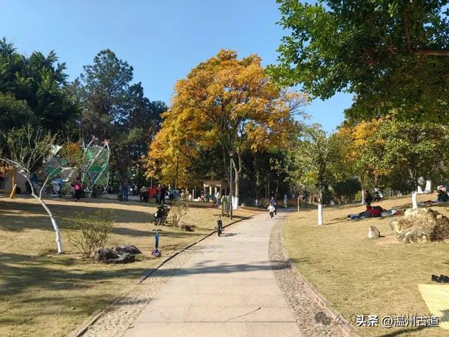 温州这个闹市中的公园,冬天亦有一番好风光!