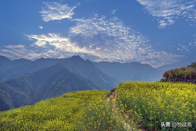 关山牧歌：治愈心灵的旅程