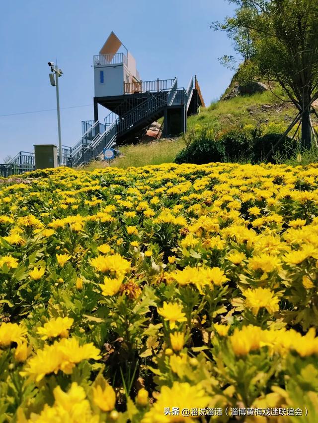 军屯村“归园·矿野部落”，离淄博主城市最近的休闲乐园