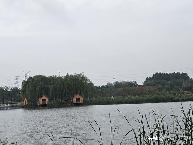 梅湖，散步休闲的去处，露营聊天的基地，人生得意须尽欢！