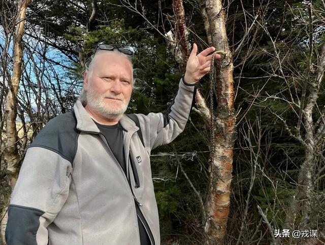 冰岛“无蚊净土”没了！冰岛首次发现蚊子，人类可能是“帮凶”？