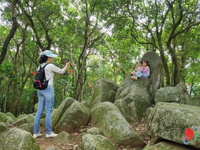 重阳节的正确打开方式！在湛江，用一场登高开启秋日旅程