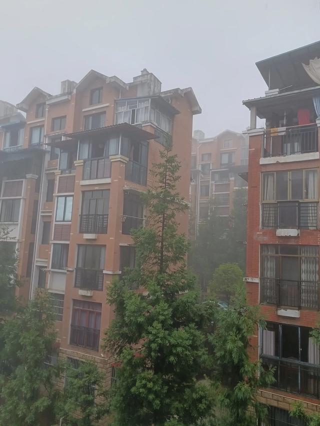对苏马荡避暑生活有始有终，才让她们嗅到机会，能捡大瓜