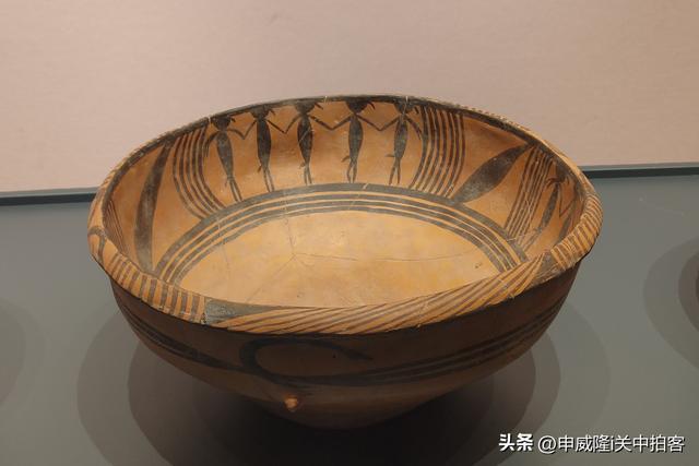 舞韵河湟：参观西宁市博物馆