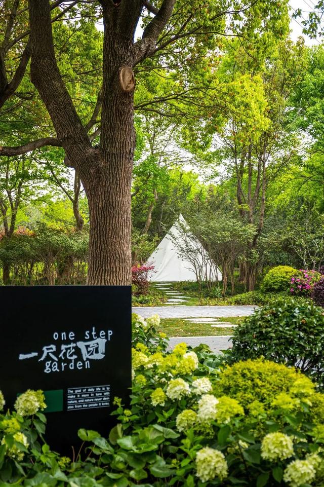 为何说疗愈经济，是一种商业“玄学”？