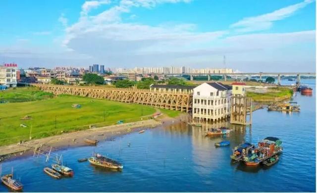 三水西南露营攻略：江畔寻趣，解锁家门口的秋日浪漫