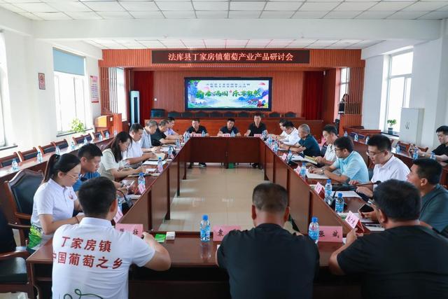 硕果迎宾客！辽宁法库丁家房镇第二十届葡萄文化采摘季盛大启幕