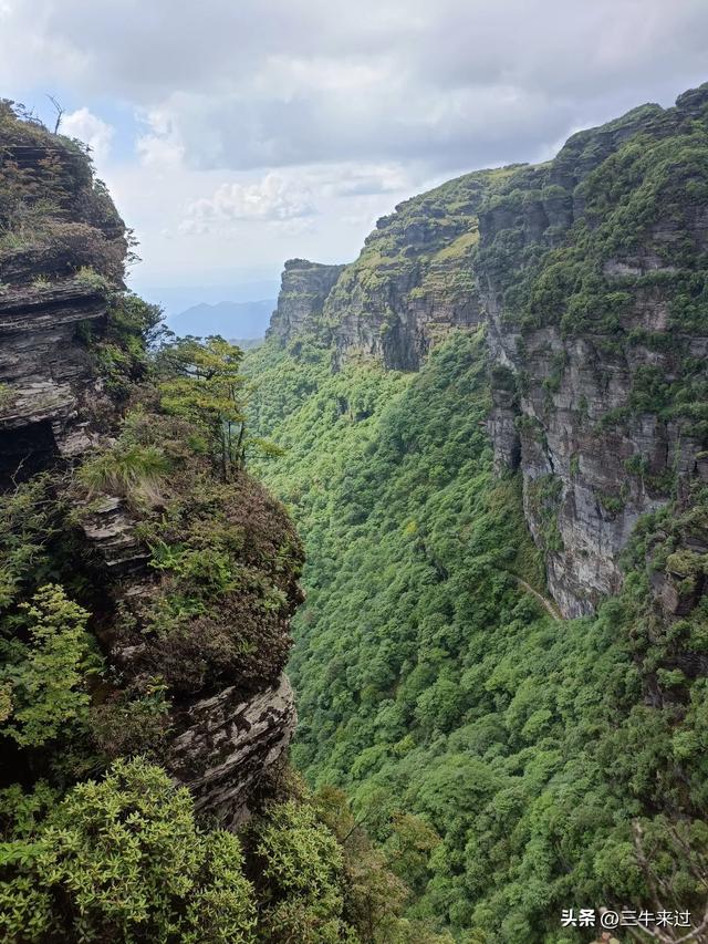 无为在歧路，贵州六日行（15）～梵净山