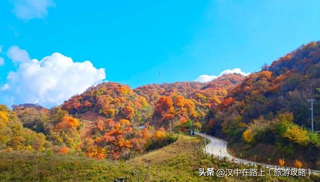 秋假即将开启，汉中多景区发布免票优惠政策→