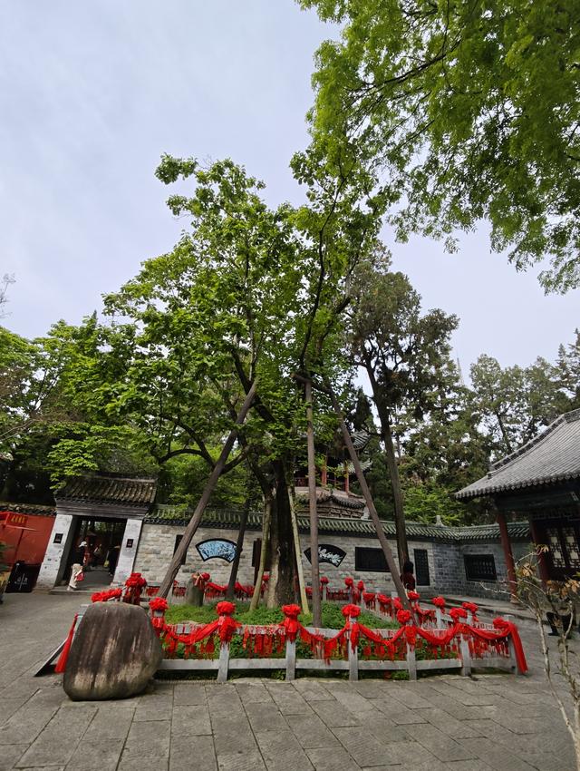 汉中留坝南郑勉县三日游