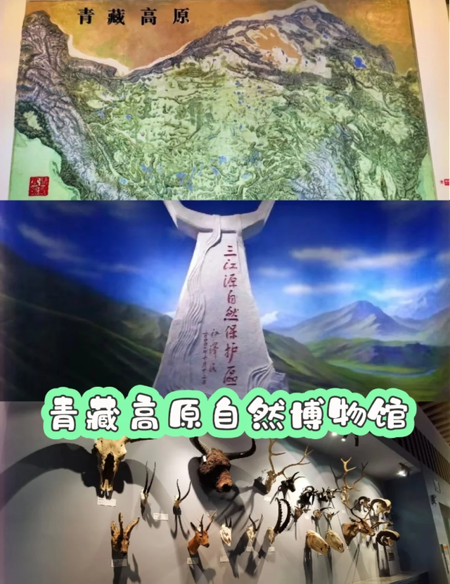 去了趟青海西宁，真心建议:不要随便去青海西宁，除非你知道这些