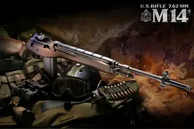 服役11年就被淘汰的美国M14步枪：萨沙的兵器图谱第365期图片