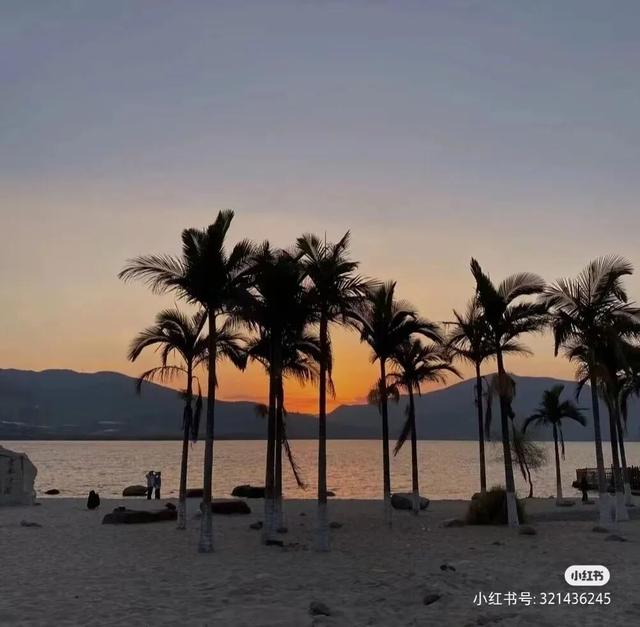 比大理浪漫！比昆明更近！高铁直达阳光小城，2万株蓝花楹美疯！观海登山，美食吃到爽！