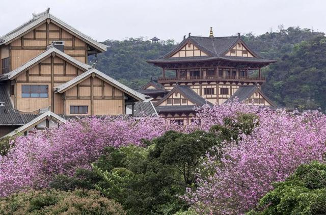 [广西 柳州市柳北区]