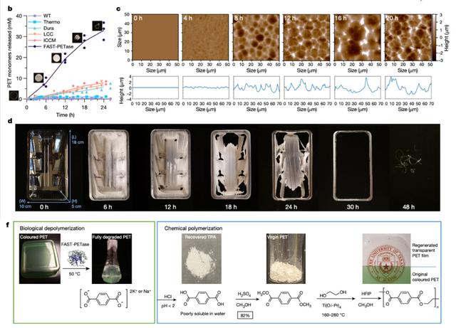 中国科学家创造“万能解法”，将塑料垃圾转化为高价值化学品