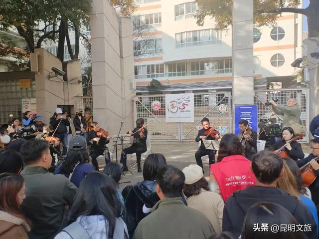 赏杏观鸥+听乐！昆明五华浪漫已就绪，音乐快闪点亮春城