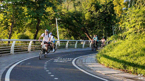近千骑友盐田狂飙后，这份骑行指南藏不住了