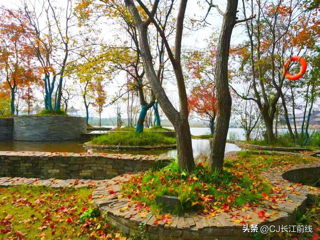 河南淮滨：金秋走读淮河展秀美