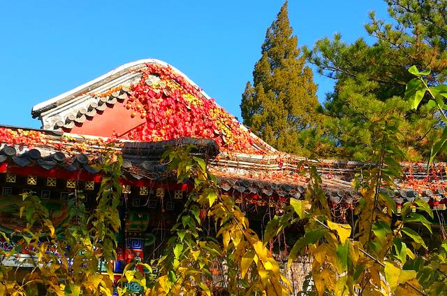 狂风散尽现碧空 北京市民陶然亭公园共赴“大风蓝”之约