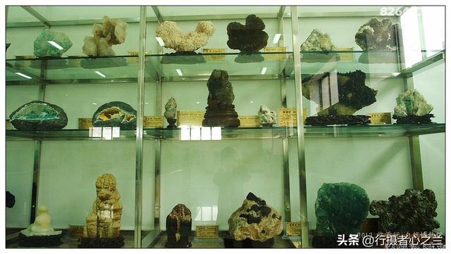 山东行游影记（31）—平邑天宇自然博物馆（六）