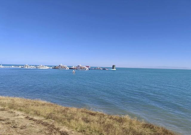 夏日里的青海湖 :花正黄,水正清,天正蓝…