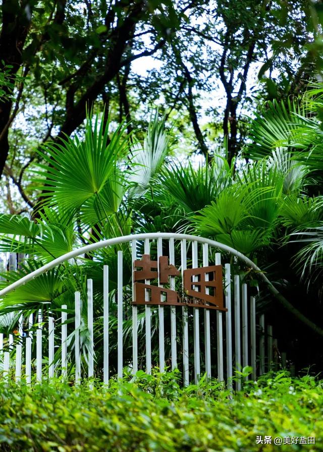 Shenzhen's Most Underrated Park: Visit to Win!