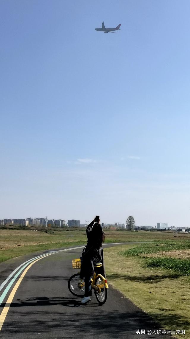 这几日的阳光很给力，银杏、乌桕、水杉相继上线。