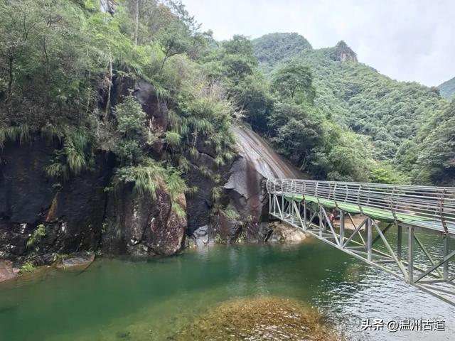 温州这个以畲族始祖命名的4A级景区，秘藏着一座“生物王国”！