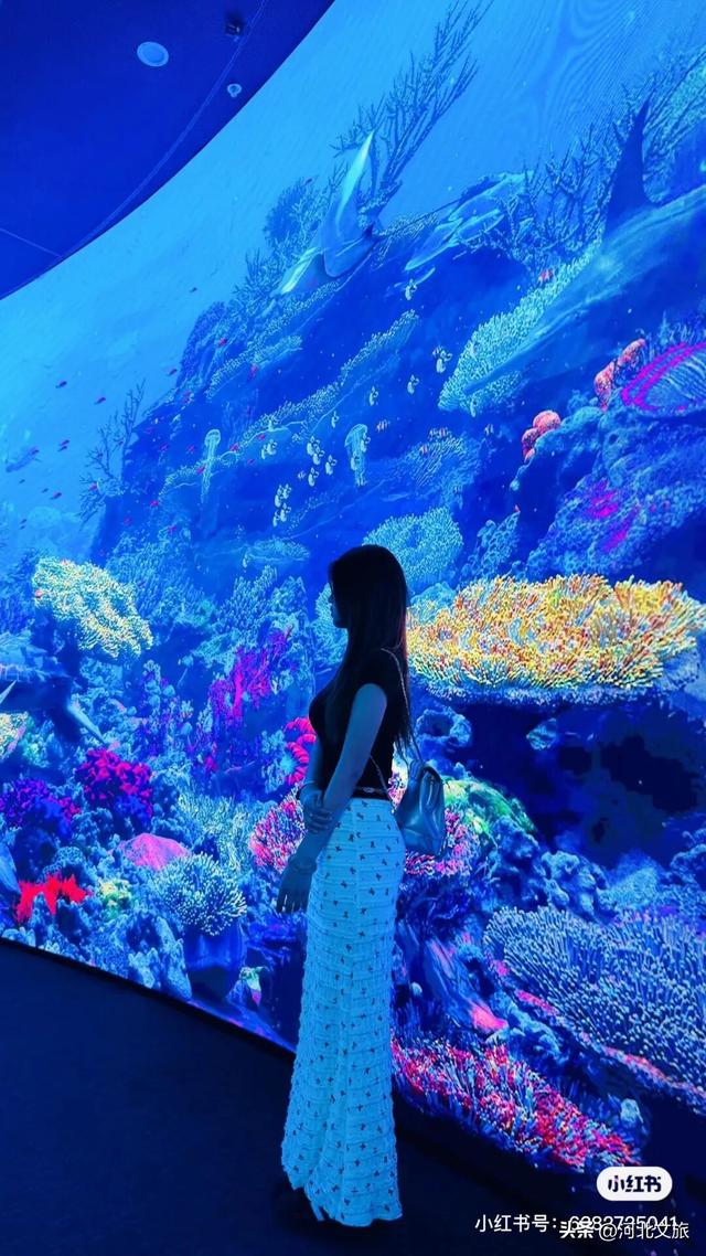 漫游唐山 | 曹妃甸城市馆打卡攻略