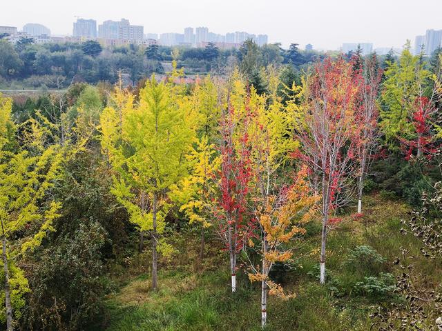 徒步穿越西流湖，赏秋正当时