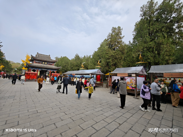 15分钟617人登顶龙亭大殿，传统观光景区迈向沉浸夜游的关键一步