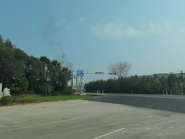 鲜花插在工业区，七坡花卉园周边环境堪忧