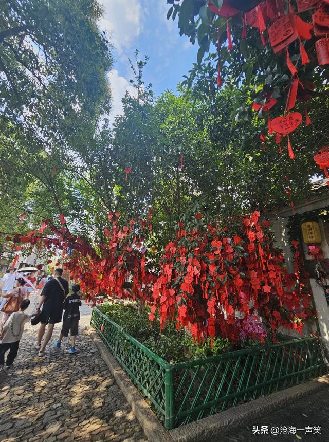 喜气洋洋的平江路，得意洋洋的平江路