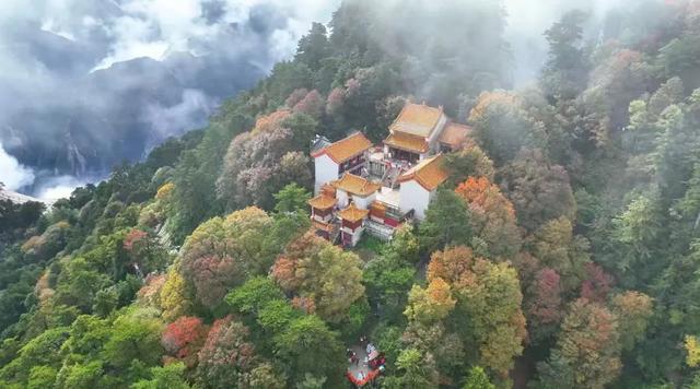 好美！你是否也喜欢华山的秋天！