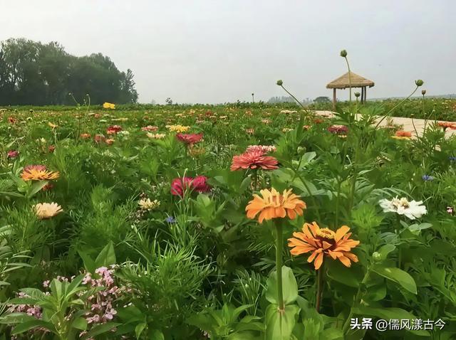 梁山历史文化名村——贾堌堆