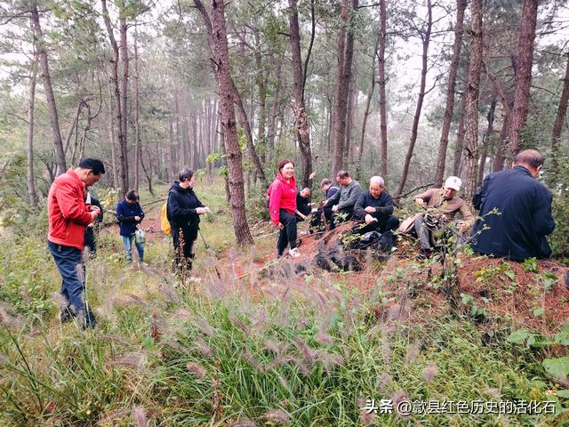 徒步牛栏坪赏高山草甸