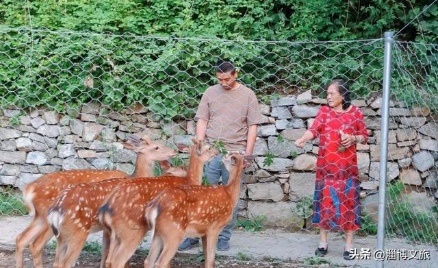 淄博版“疯狂动物城”来了！网红萌宠已就位，快来当一日“荣誉市民”→