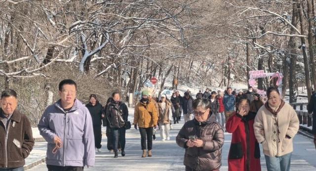 千山初雪上线 游客扎堆打卡