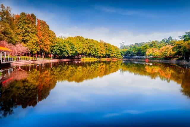 广州秋游封神路线！红叶、银、禅意，3条宝藏线承包你的秋日浪漫