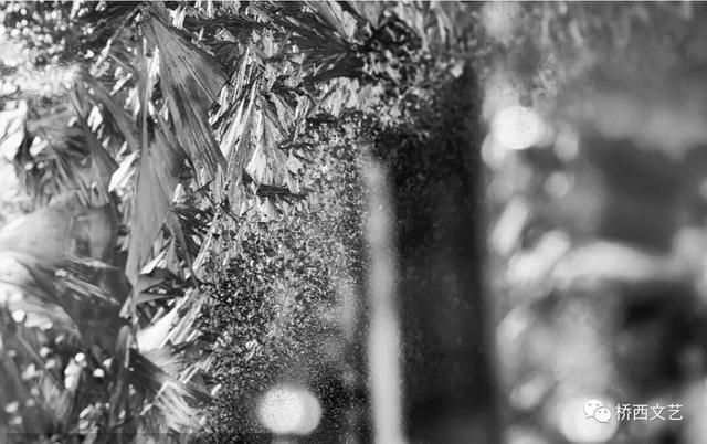 印象张家口新华街