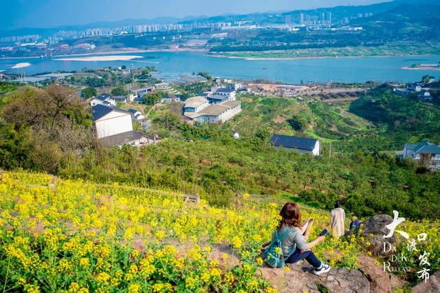 春天来了,你也该来一趟大渡口啦!